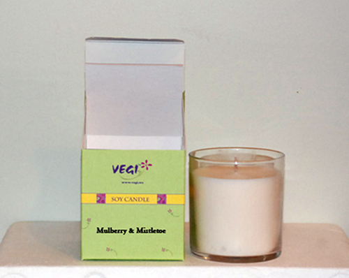 Mulberry and Mistletoe Spa Candle
