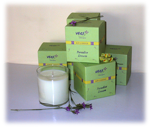 Paradise Dream Spa Candle