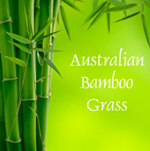 Australian Bamboo Spa Candle