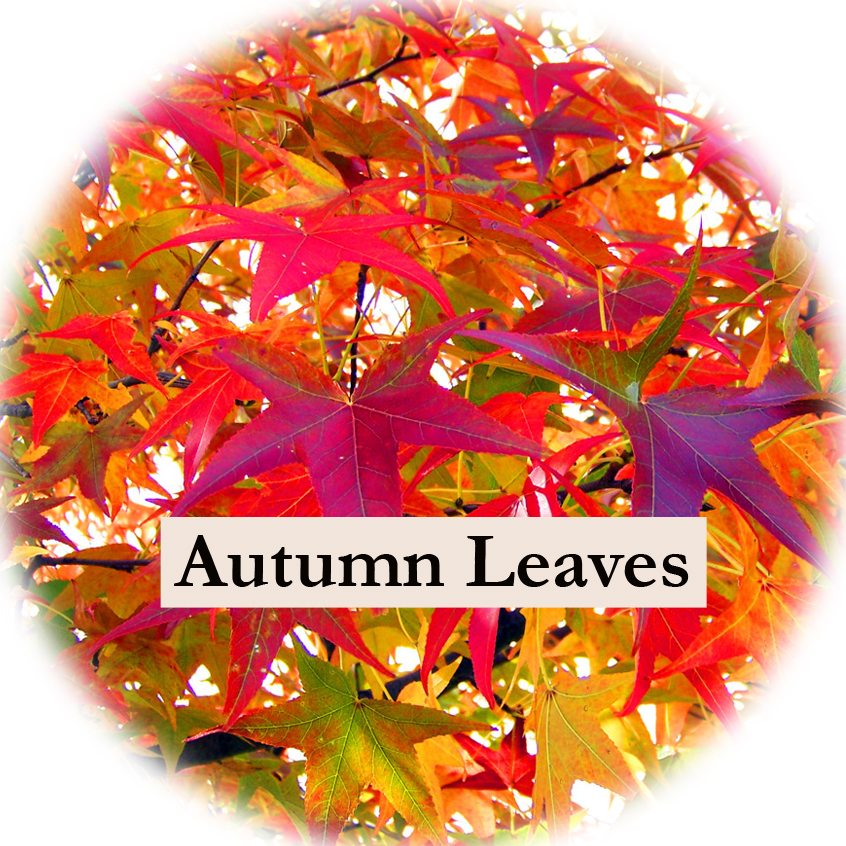 Autumn Leaves 1oz Personal Diffuser