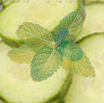 Green Tea & Cucumber Spa Candle Green Tea & Cucumber Spa Candle