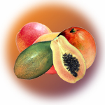 Mango Papaya 1oz Personal Diffuser