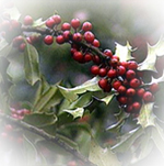 Mulberry and Mistletoe Spa Candle Mulberry and Mistletoe Spa Candle