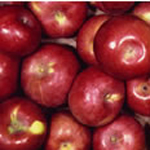 Macintosh Apple Spa Candle